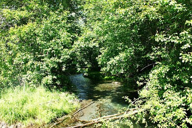 Left Side Creek