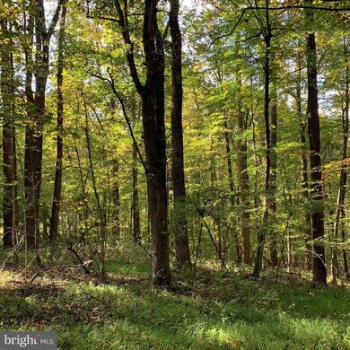 0 Mountain Ridge Way unit VACU2004116, Culpeper, VA 22701 - photo 5