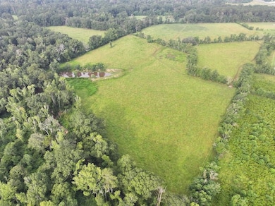 0 Hwy 16 unit LotWP001 24297163, Amite, LA 70422 - photo 2