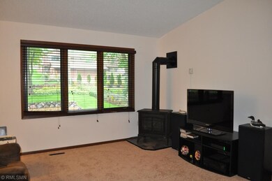 new interior carpet, cozy gas stove