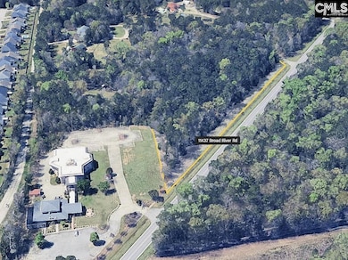 11437 Broad River, Chapin, SC 29036 - photo 2