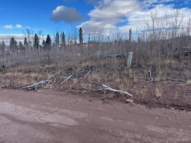 Lot 2544 Petito Dr, Fort Garland, CO 81133 - photo 6