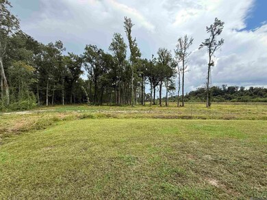 6-Z-1-D Pertuis Rd, Saint Amant, LA 70774 - photo 5