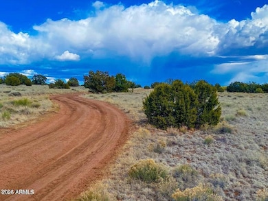 20240321005856693208000000-o (1)