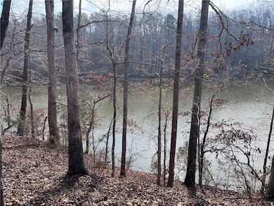 0 Lakeview Dr unit 20271609, Fair Play, SC 29643 - photo 5