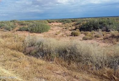 TBD Us 54, Chaparral, NM 88081 - photo 6