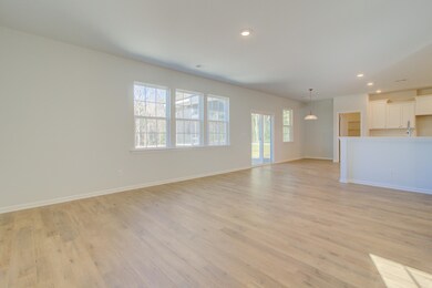 411 American Goldfinch Way, Moncks Corner, SC 29461 - photo 7