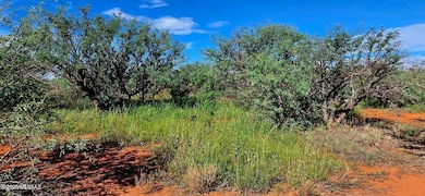 TBD 40 AC Ronald Reagan Pkwy, Whetstone, AZ 85616 - photo 4