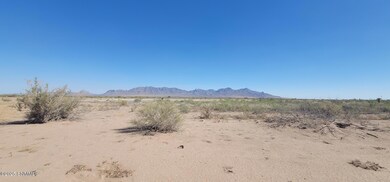 0000 Purple Sage Rd SW, Deming, NM 88030 - photo 5