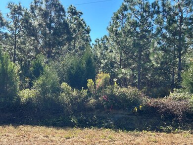 10 +-ac,Lot 1PL Cty Rd 140 Cty Rd 141, Headland, AL 36345 - photo 7