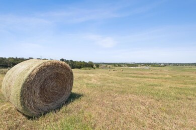 4324 County Road 1022, Cleburne, TX 76033 - photo 6