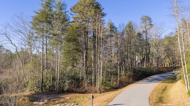 59 Bottlebrush Dr, Cashiers, NC 28717 - photo 2