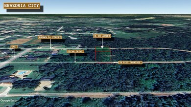 0 Pecan Dr unit Brazoria TX 77422, Brazoria, TX 77422 - photo 6