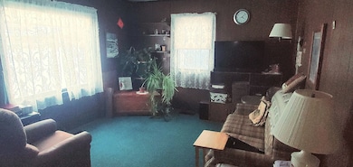 172 N Jackson Ave, Bradley, IL 60915 - photo 3