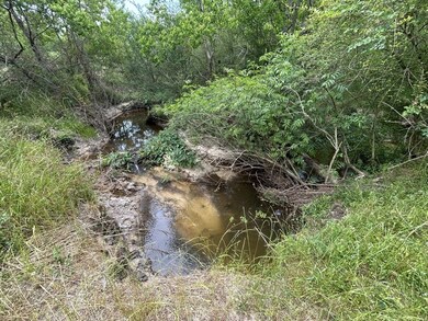 TBD NW County Road 274, Altha, FL 32421 - photo 7