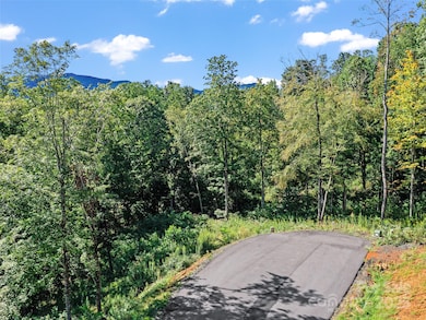 Lot 25 Summit View Pkwy, Spruce Pine, NC 28777 - photo 6