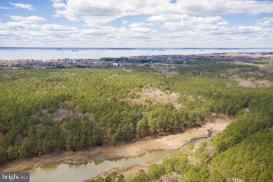 6509 Kent Point Rd, Stevensville, MD 21666 - photo 4