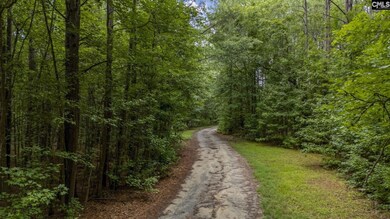 227 Will Dent Rd, Lexington, SC 29072 - photo 4