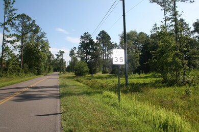 0 Musslewhite Rd unit 785709, Callahan, FL 32011 - photo 4