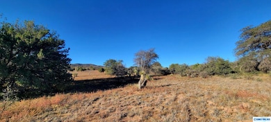 Lot 3A Cattlemans Trail, Silver City, NM 88061 - photo 2