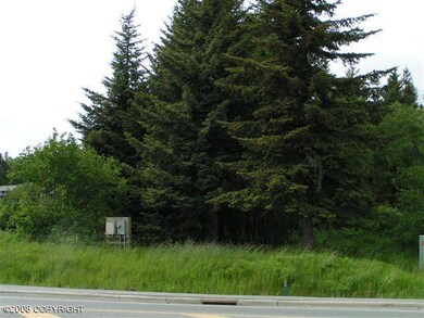 Corner Lot Photo 2