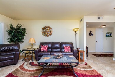 Corte De Sol Oeste (28)