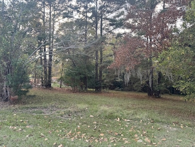 0 Silver Hickory Dr unit 50047653, Coldspring, TX 77331 - photo 3