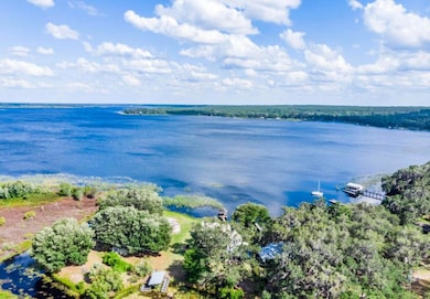 20940 NE 142nd Place, Fort Mc Coy, FL 32134 - photo 4