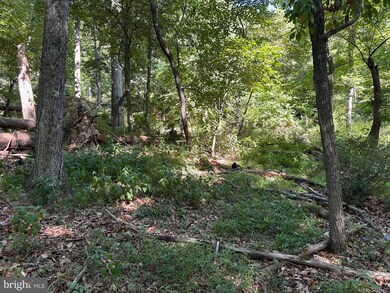 0 English Muffin Way, Berkeley Springs, WV 25411 - photo 5