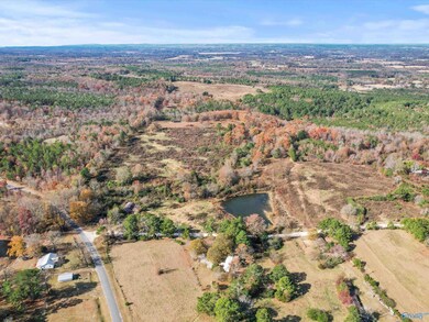 31 acres Beagle Rd, Sardis City, AL 35956 - photo 7