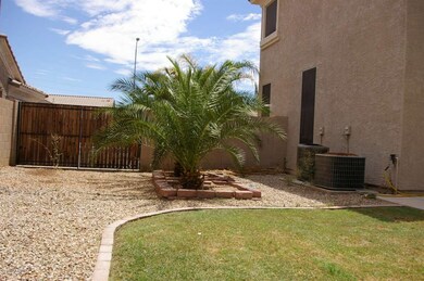 IMGP3166