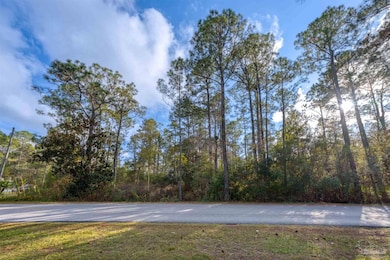 00 Mullet Dr, Freeport, FL 32439 - photo 2