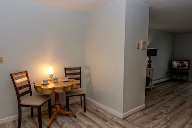 126 Mammoth Rd unit 1, Hooksett, NH 03106 - photo 6