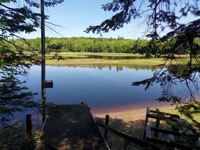 N9003 Deer Trail, Tomahawk, WI 54487 - photo 3