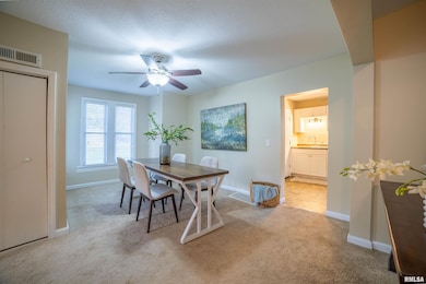 325 E Columbus St, Camp Point, IL 62320 - photo 6