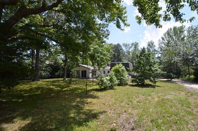 A Large Treed Yard