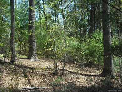 5 Hunting Ridge unit LOT 11, Leicester, NC 28748 - photo 6
