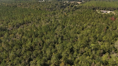 00 Cross Country Blvd unit 68, Marianna, FL 32446 - photo 4