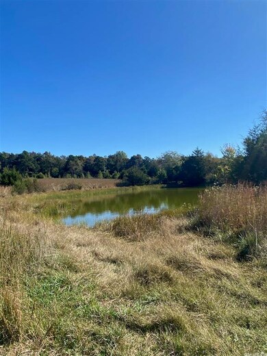 Pond on back pasture of property