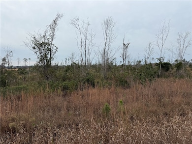 9.22 Rhine Rd, Alma, GA 31510 - photo 7