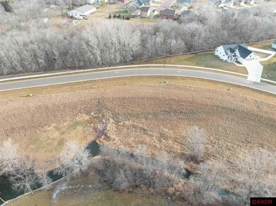0 Butler Falls Rd, Mankato, MN 56001 - photo 4