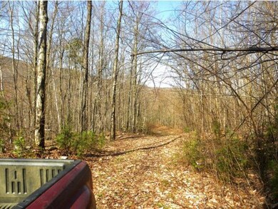 6340 Us Route 5, Sutton, VT 05867 - photo 7