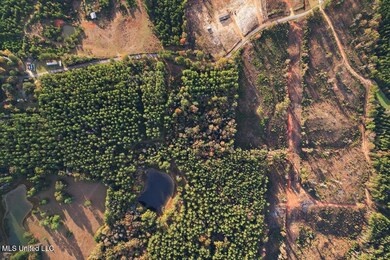 unlisted-address, Mendenhall, MS 39114 - photo 5