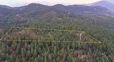 2784 Red Tail Way, Colville, WA 99114 - photo 7