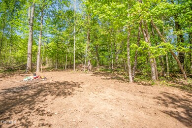 Tbd Dunville Gap Rd, Rutledge, TN 37861 - photo 4