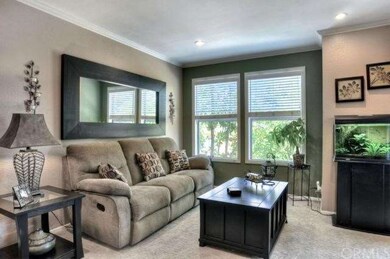 Designer Paint/Crown Moulding