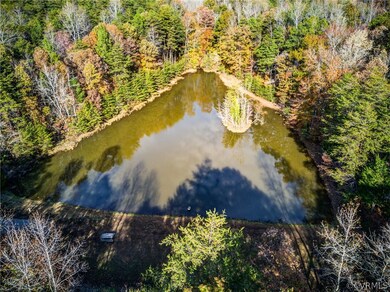 4160 Drew Ridge Dr, Louisa, VA 23093 - photo 6