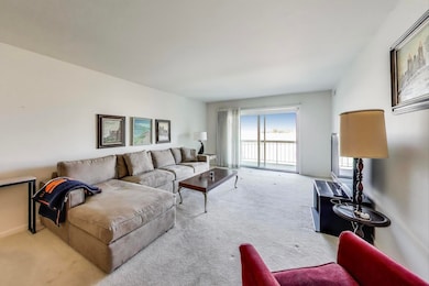 4840 Foster St unit 304, Skokie, IL 60077 - photo 5