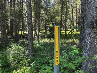 Nhn Three Corners Rd S, Trout Creek, MT 59874 - photo 4