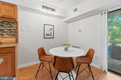 2317 Freetown Ct unit 12C, Reston, VA 20191 - photo 7